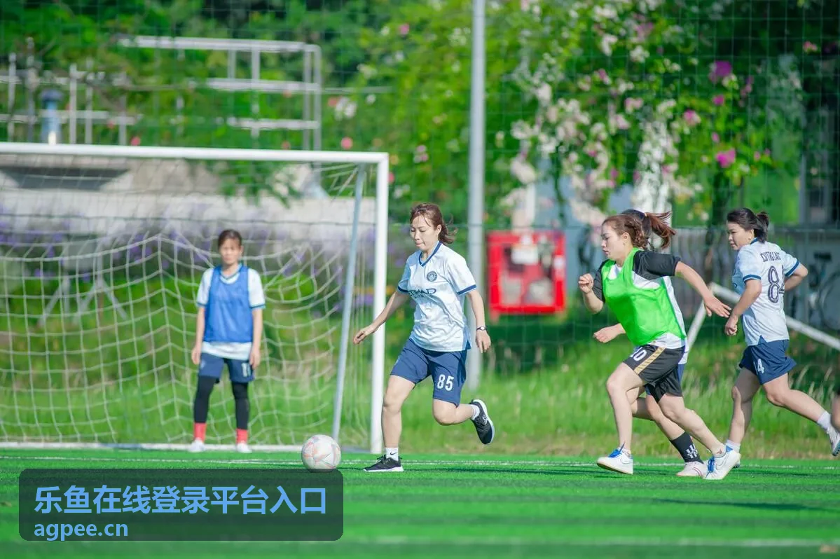 乐鱼在线登录平台入口登录页面操作示意
